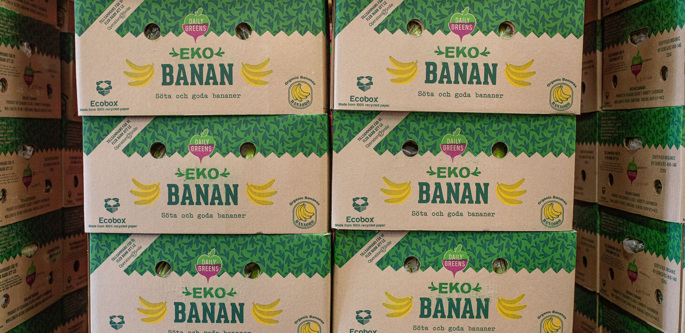 boxes with bananas